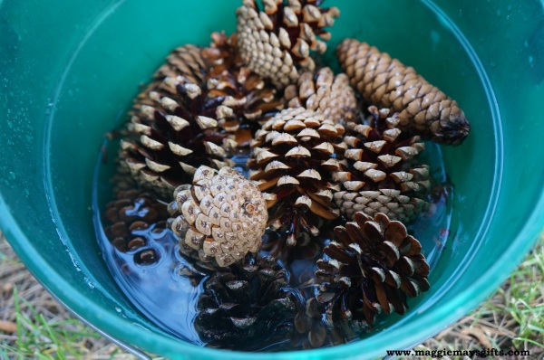 Pine Cone holiday crafts